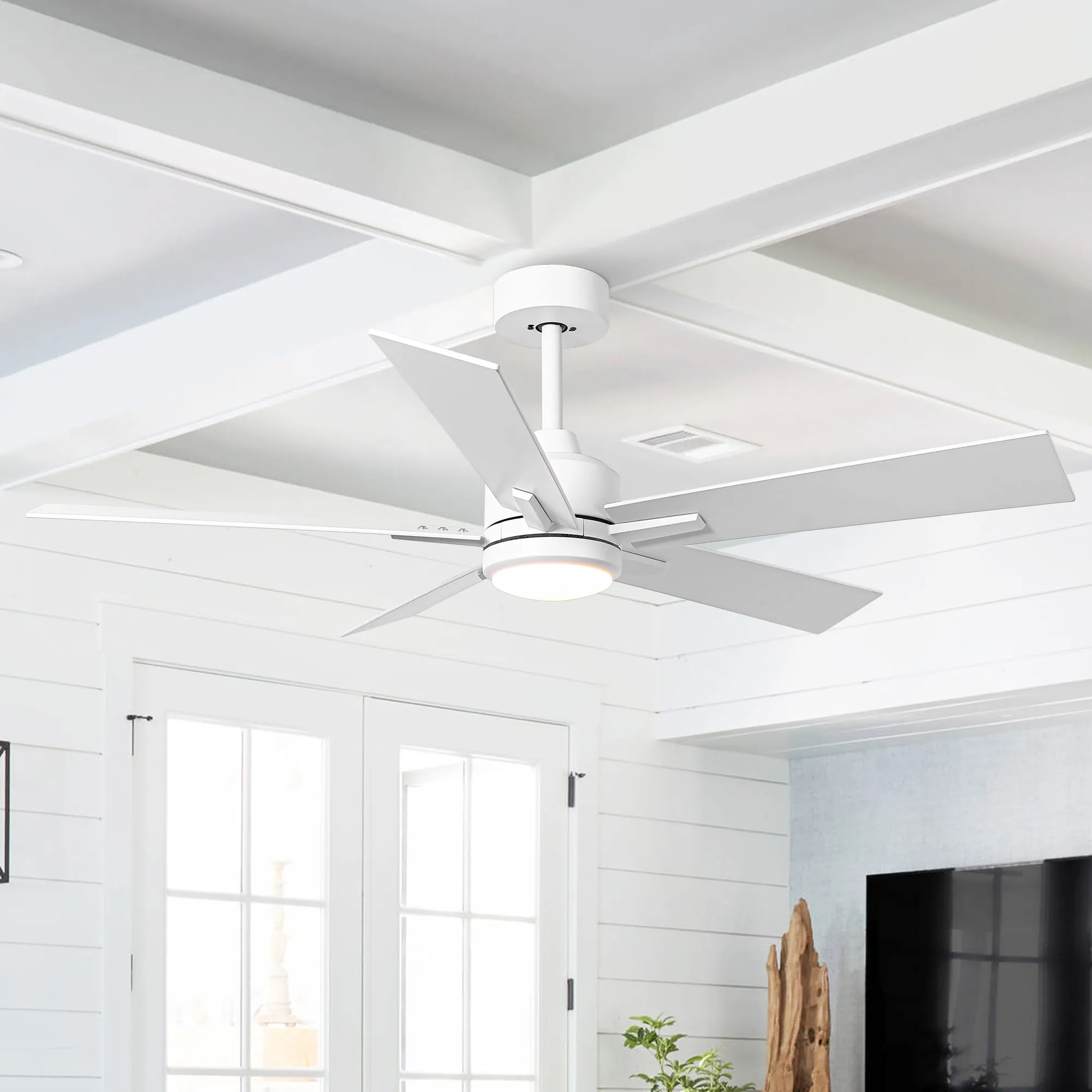 48" DC Motor 5 Blades Modern Downrod Mount Ceiling Fan