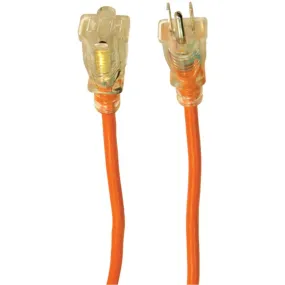 Axis 45509 1-Outlet Orange Indoor/Outdoor Grounded Workshop Extension Cord, 50ft