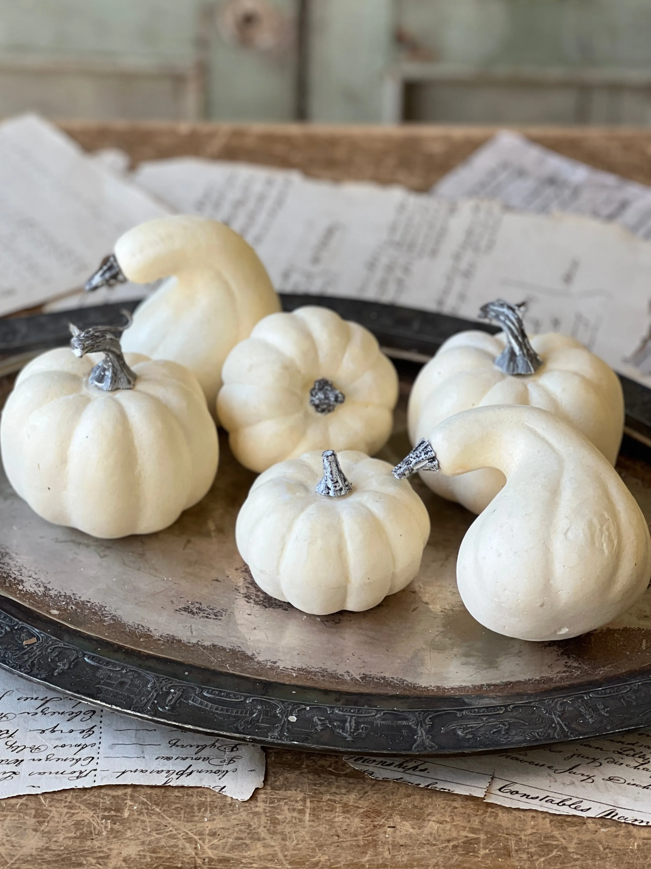 Bagged Fall's Folly Mini Pumpkins | CASE PACK SPECIAL!  $4.50-72