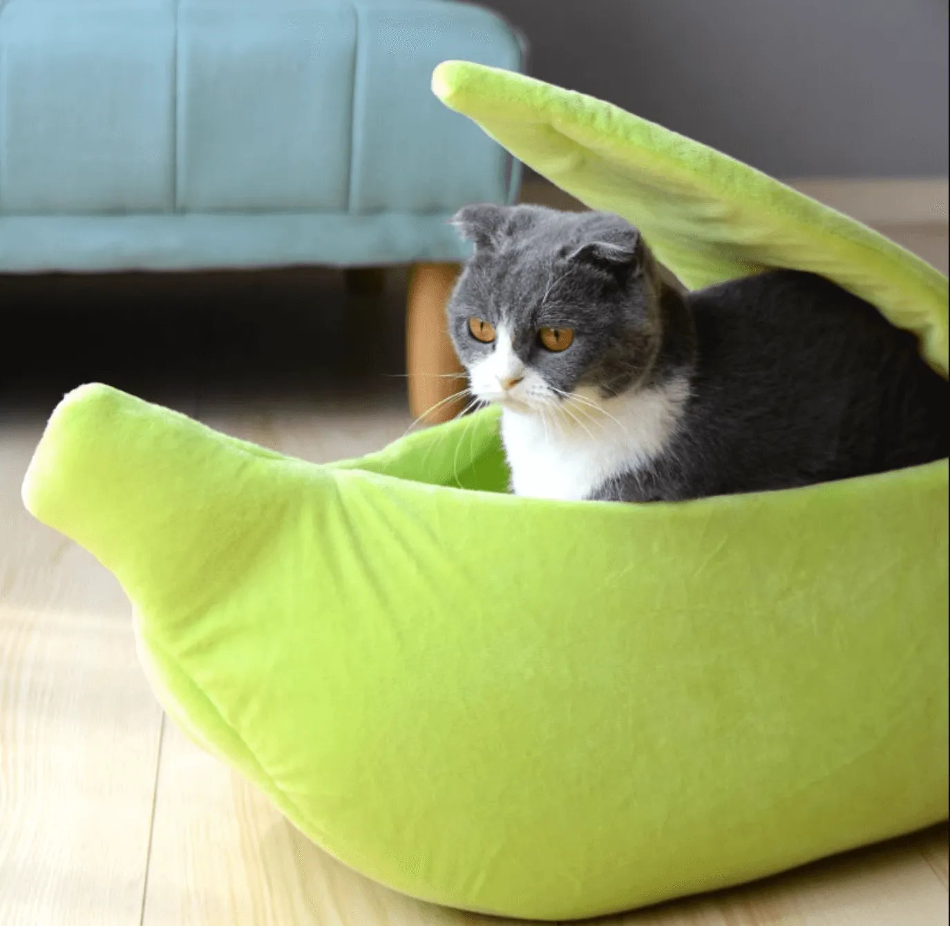 Banana Bed For Cats with Green Pink and Yellow