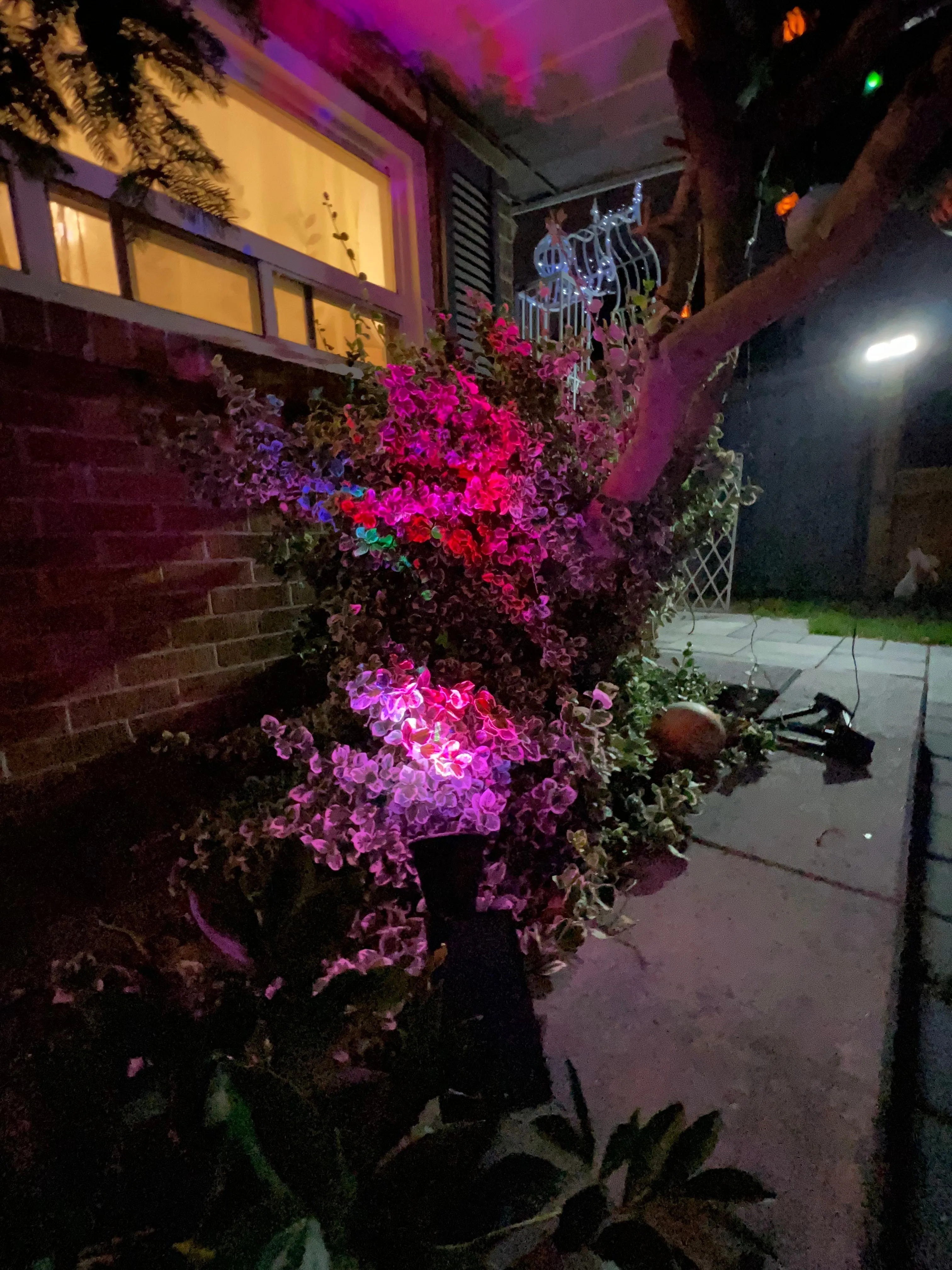 BigM Wireless RGB Color Changing Solar Spotlights for Landscaping