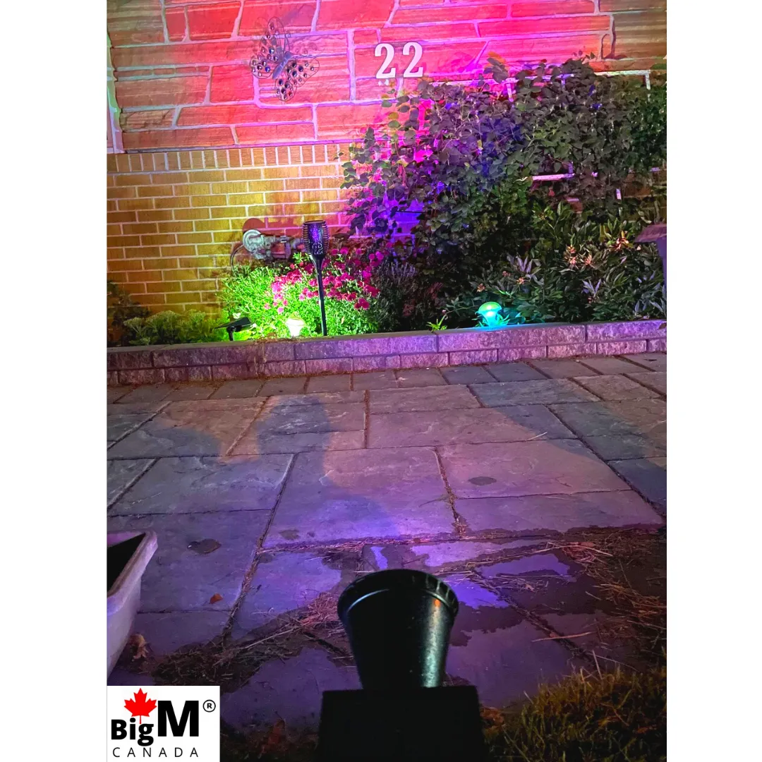 BigM Wireless RGB Color Changing Solar Spotlights for Landscaping