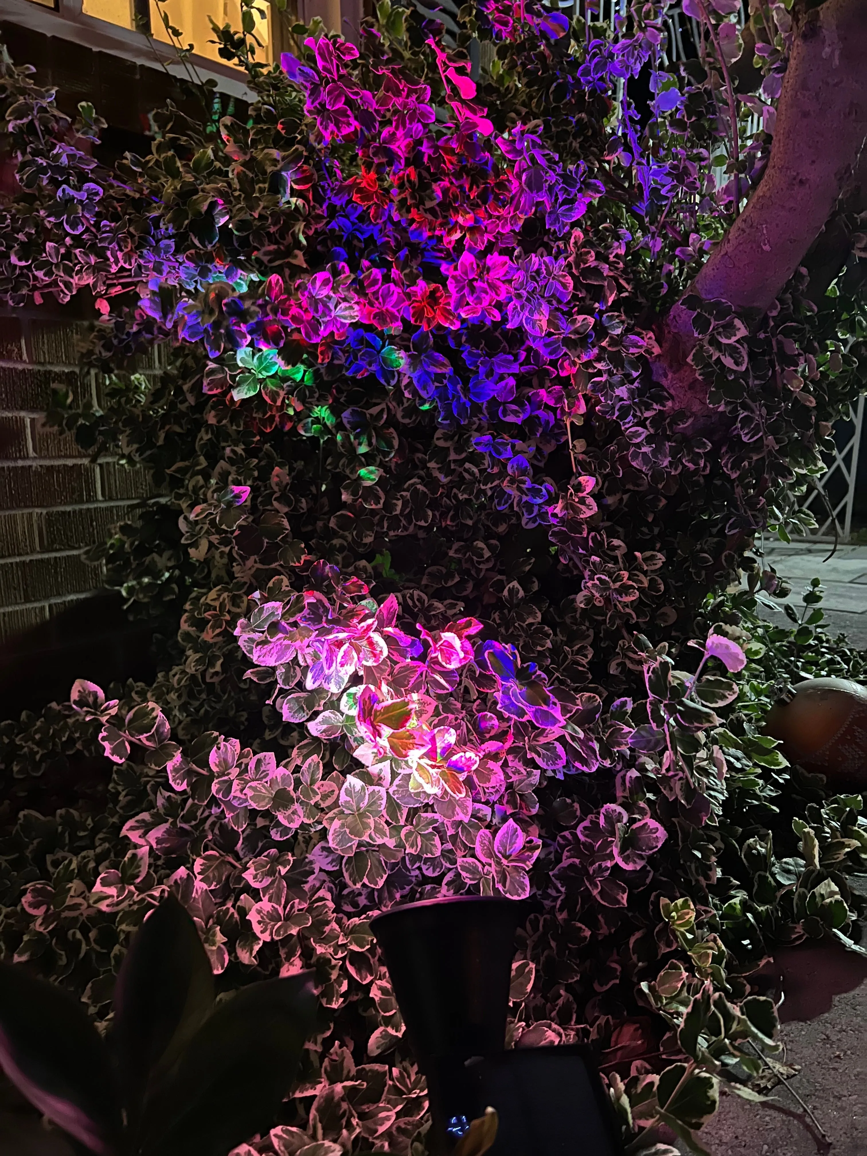 BigM Wireless RGB Color Changing Solar Spotlights for Landscaping