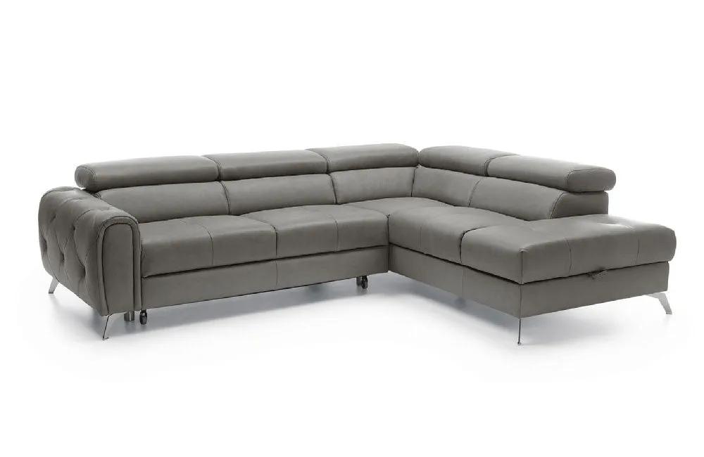 Camelia Sectional Sofa Bed with Storage