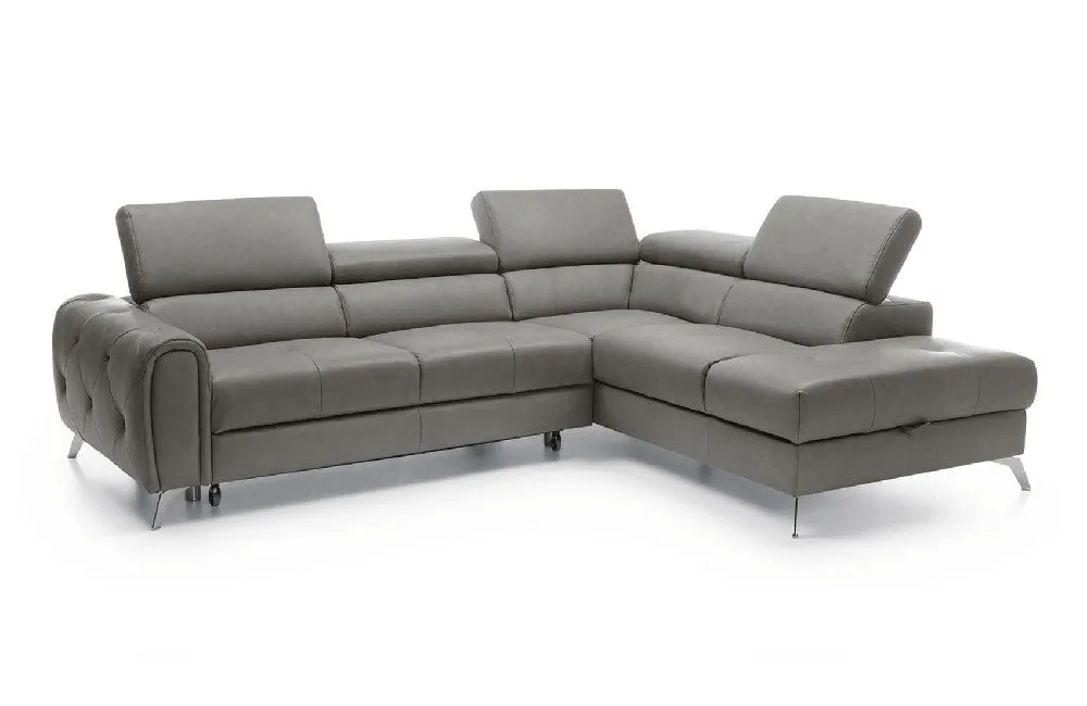 Camelia Sectional Sofa Bed with Storage