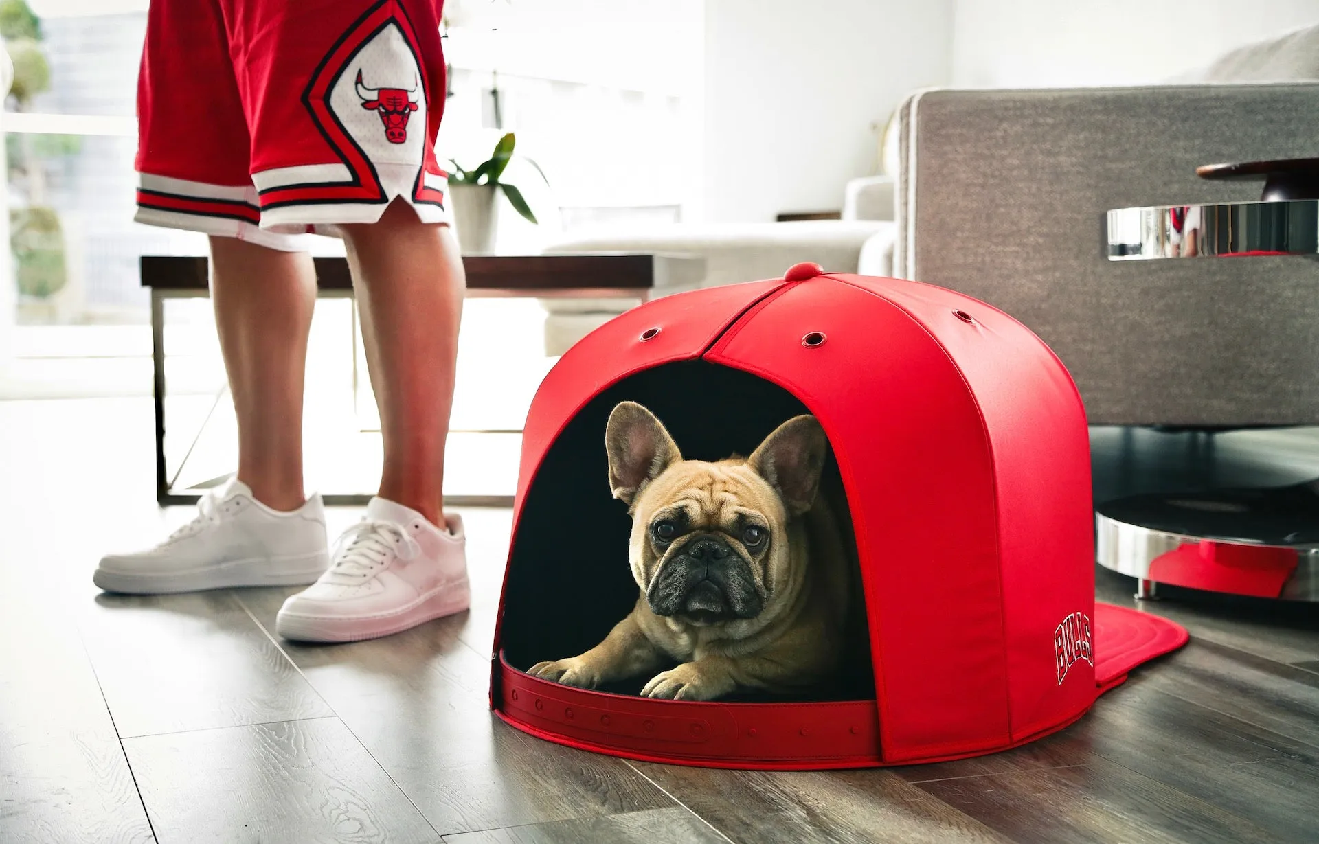 CHICAGO BULLS NAP CAP PREMIUM DOG BED