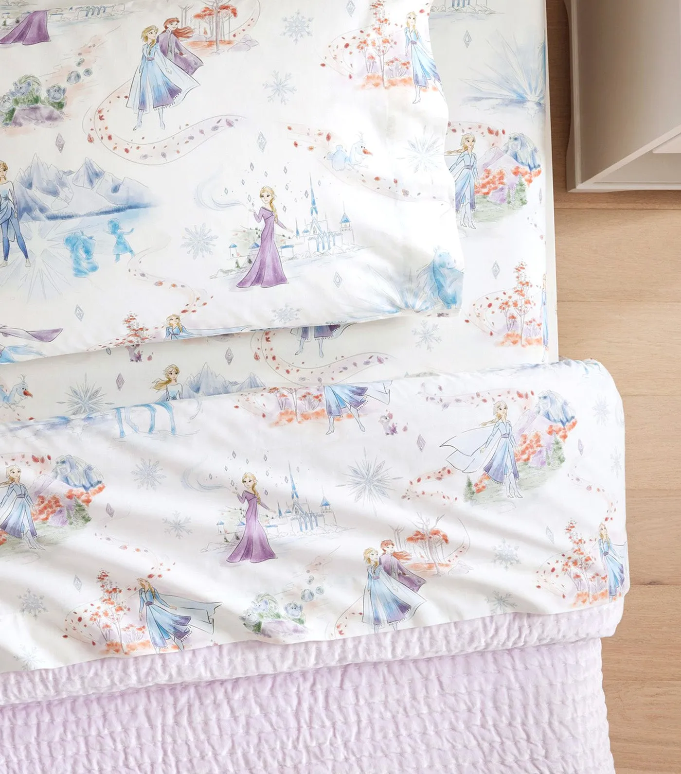 Disney Frozen Enchanted Forest Organic Sheet Set