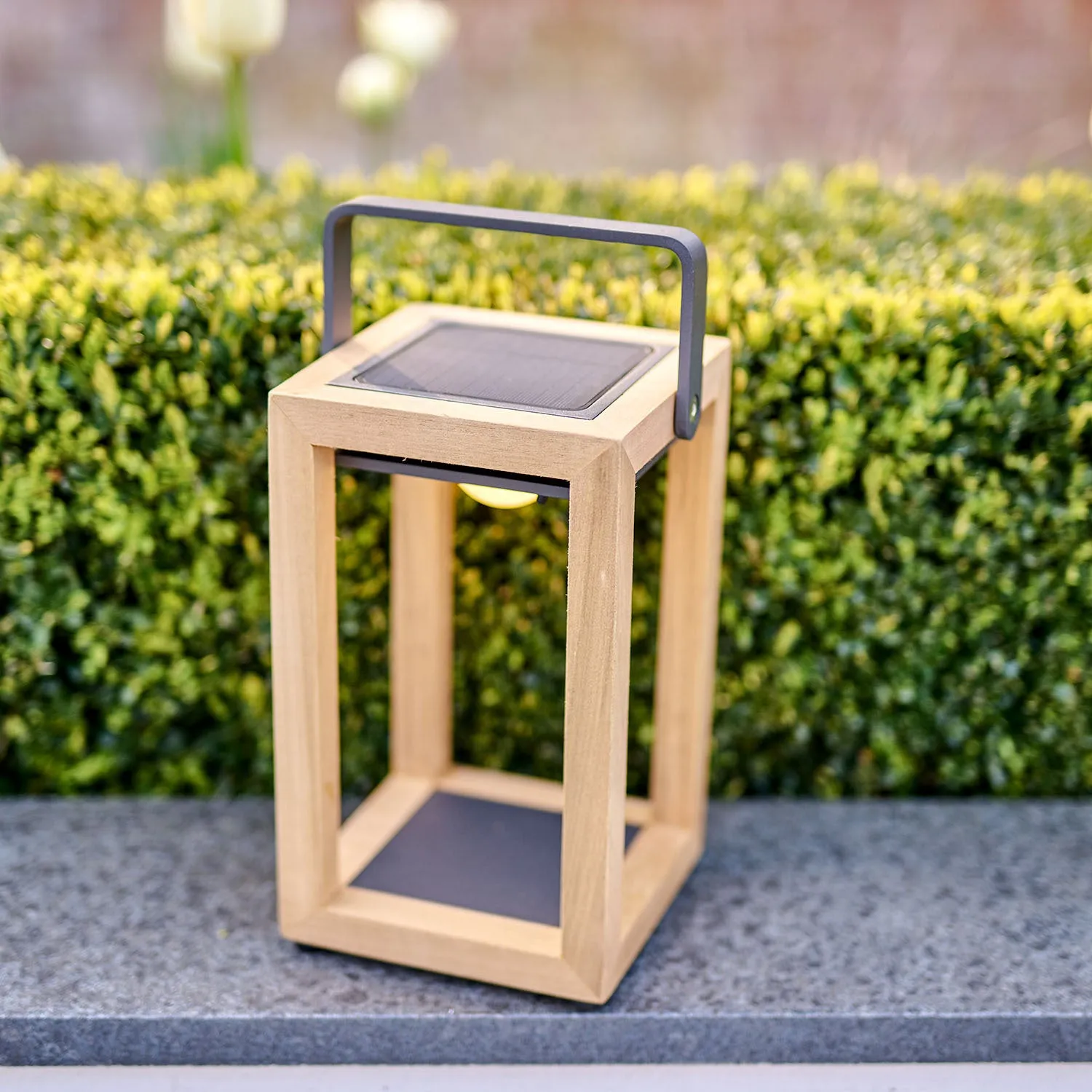 Luxor Table Outdoor and Indoor Solar Lantern In Teak