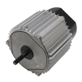 Motor for 18 In. Evaporative Coolers