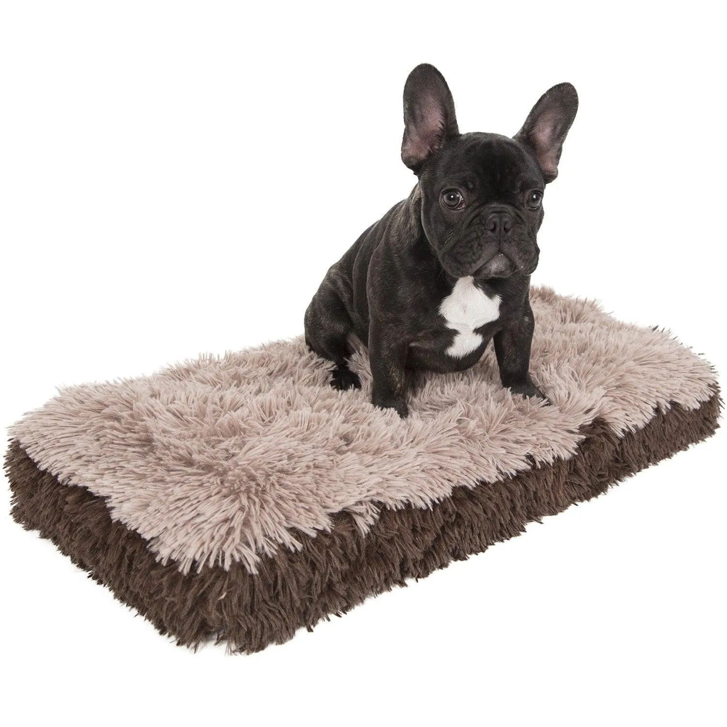 Paws & Pals Dog Bed for Pets & Cats - Fuzzy Foam Deluxe Premium Bedding Cuddler Lounger Two-Toned Design for Home & Crate (Small, Beige)