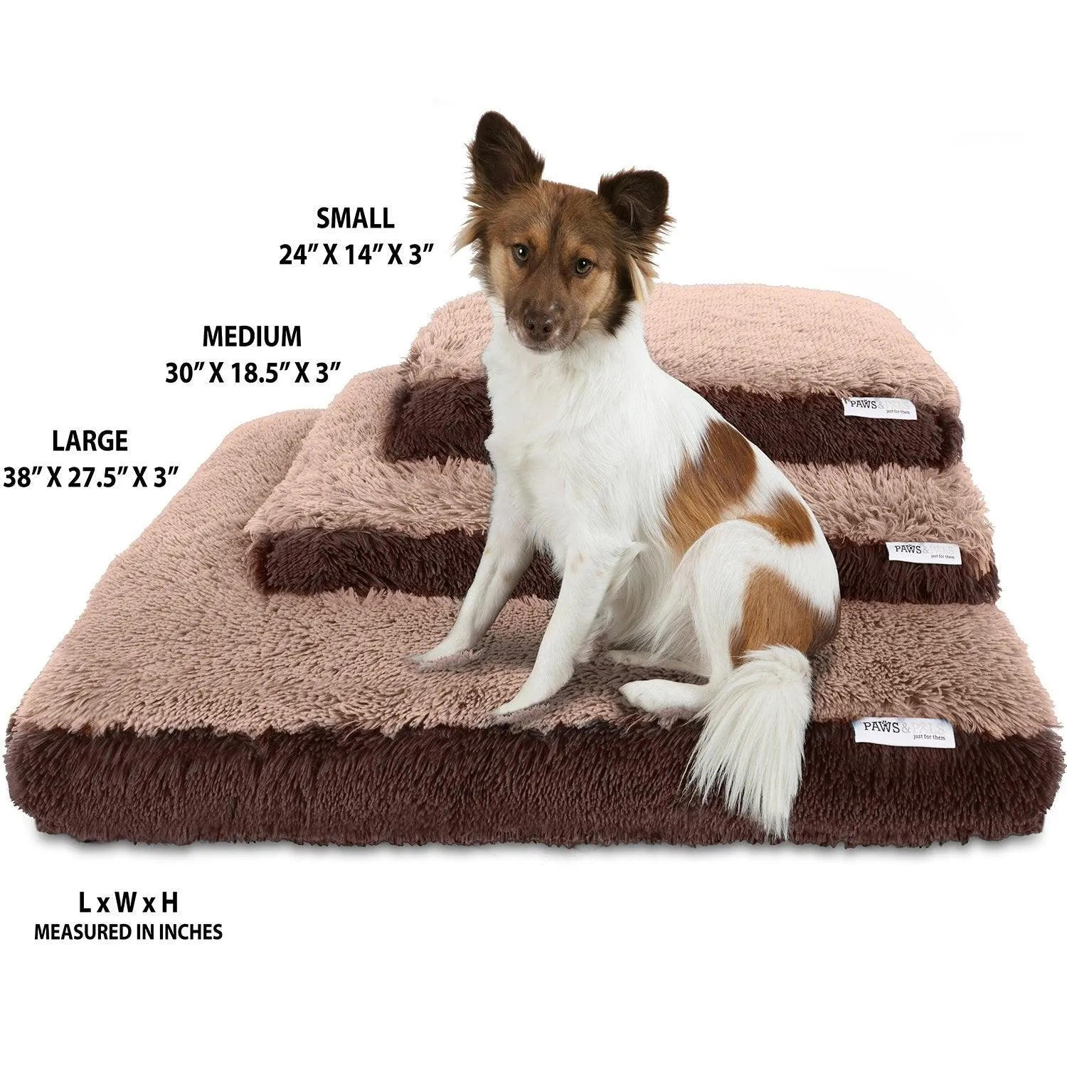 Paws & Pals Dog Bed for Pets & Cats - Fuzzy Foam Deluxe Premium Bedding Cuddler Lounger Two-Toned Design for Home & Crate (Small, Beige)