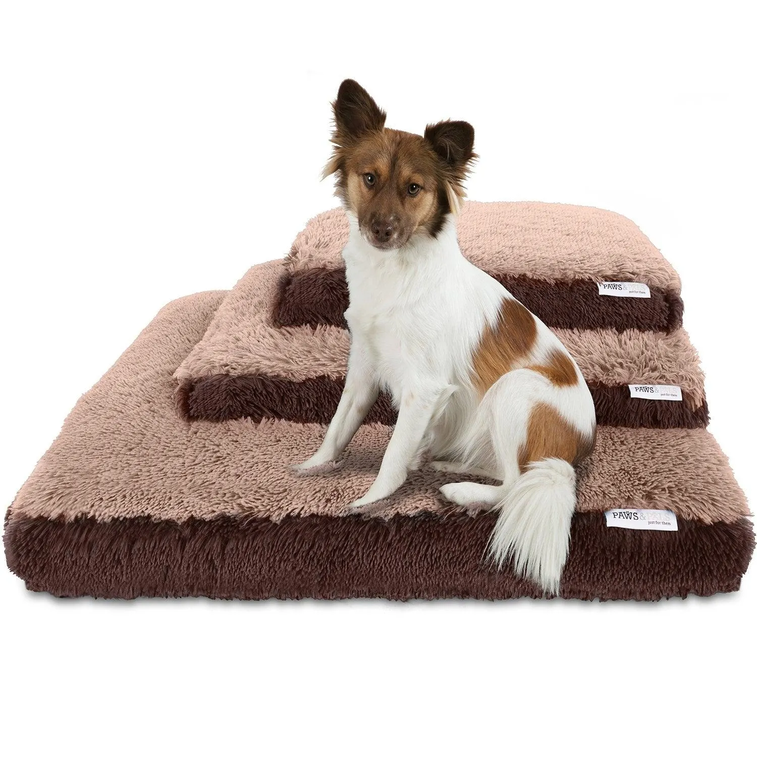 Paws & Pals Dog Bed for Pets & Cats - Fuzzy Foam Deluxe Premium Bedding Cuddler Lounger Two-Toned Design for Home & Crate (Small, Beige)