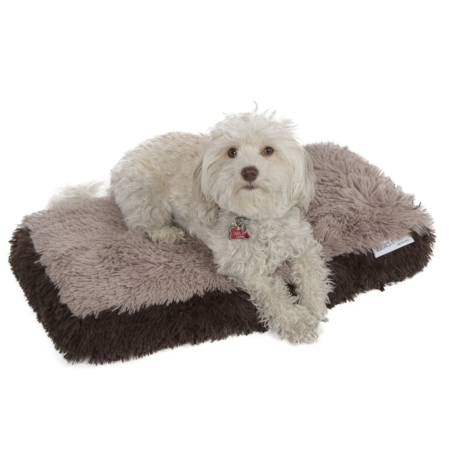 Paws & Pals Dog Bed for Pets & Cats - Fuzzy Foam Deluxe Premium Bedding Cuddler Lounger Two-Toned Design for Home & Crate (Small, Beige)