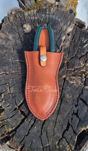 Plier holster