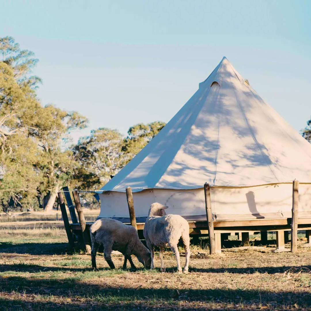 Queen Bell Tent | Duffy