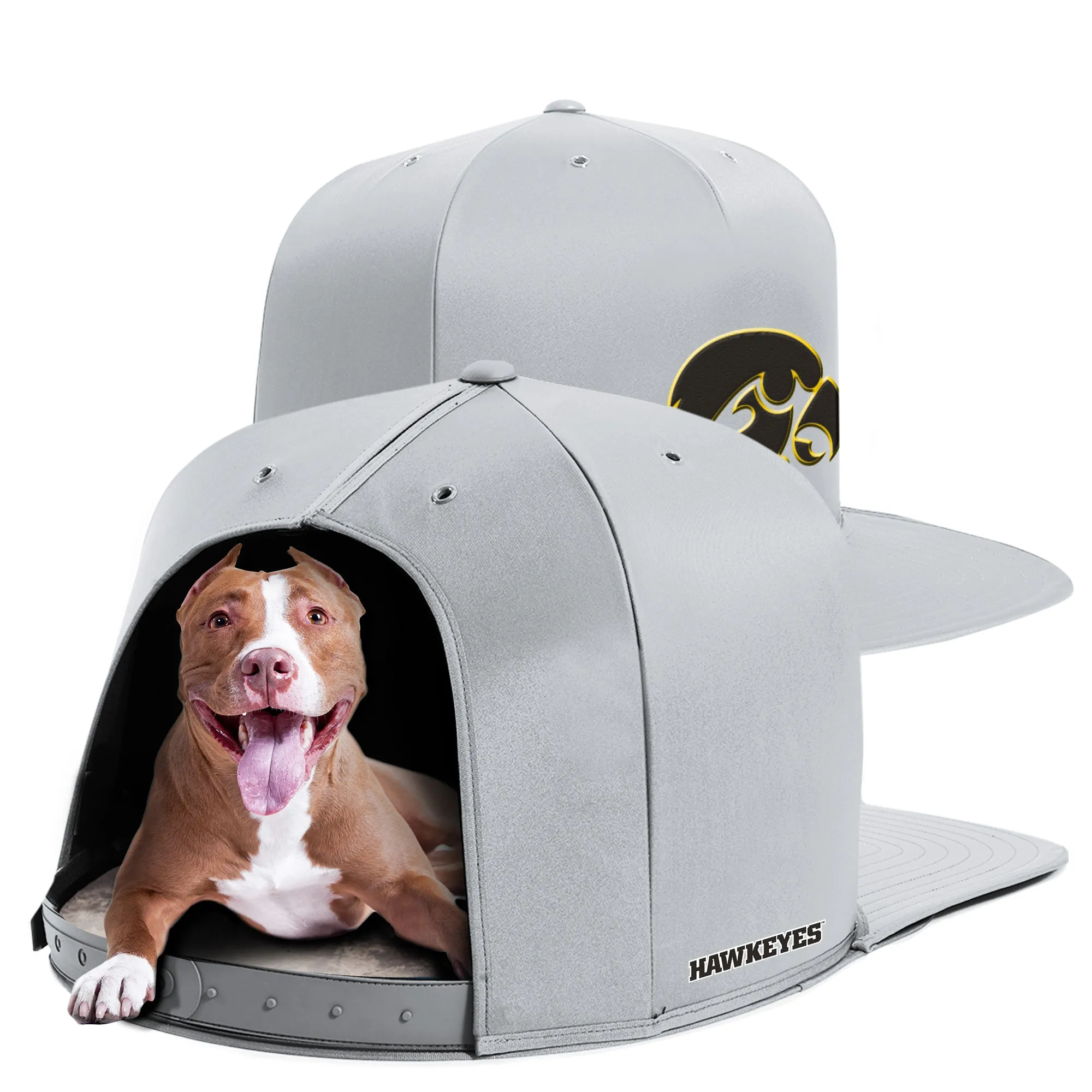 UNIVERSITY OF IOWA NAP CAP PREMIUM DOG BED