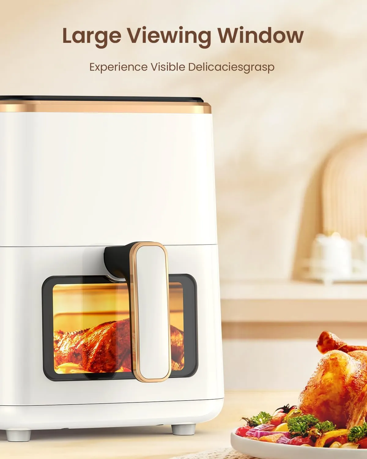 Vewior Air Fryer | AF01