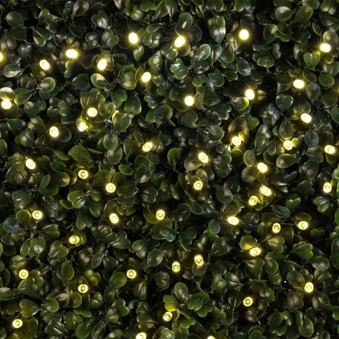 Warm White LED String Outdoor Lights